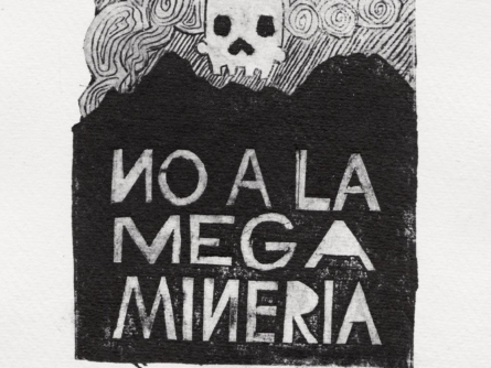 No a la megaminería